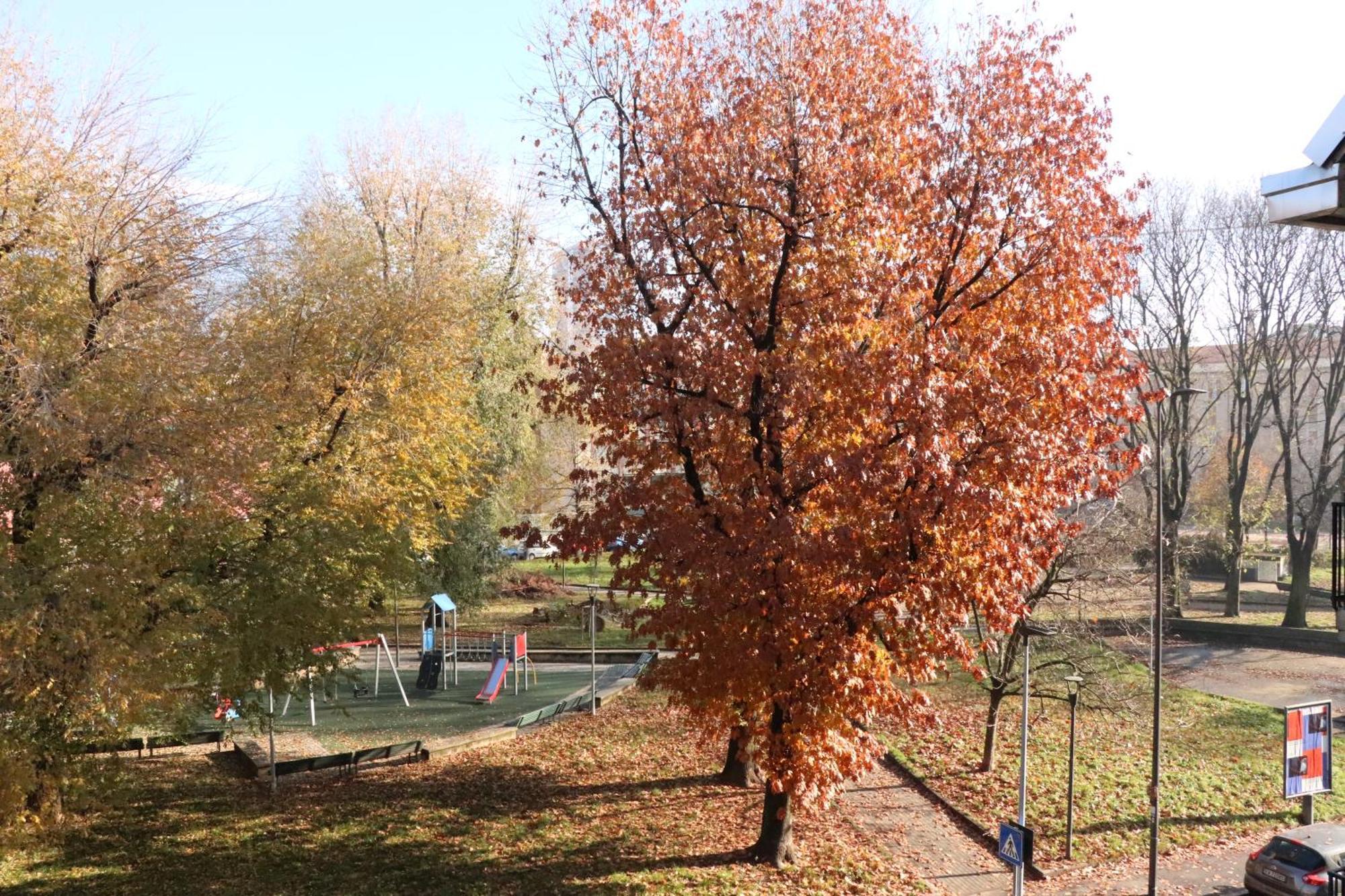 Appartamento Milano, Bovisa Politecnico, Dergano Metropolitana, Wifi - Garden Екстер'єр фото